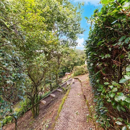 Hill View In With Terrace