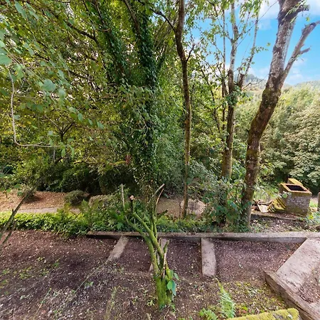 Forest-edge Hideaway, *