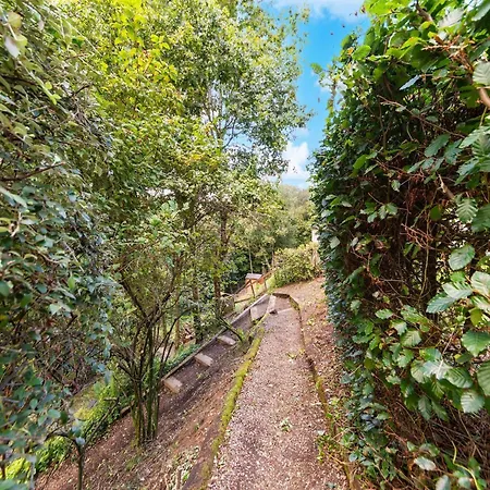 Appartement Forest-edge Hideaway, Bouillon